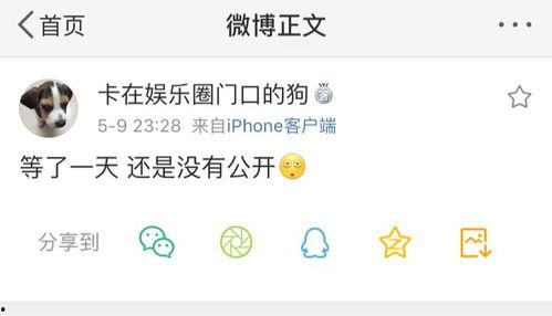 濮阳吃瓜爆料聊天,揭秘网络聊天背后的热点事件